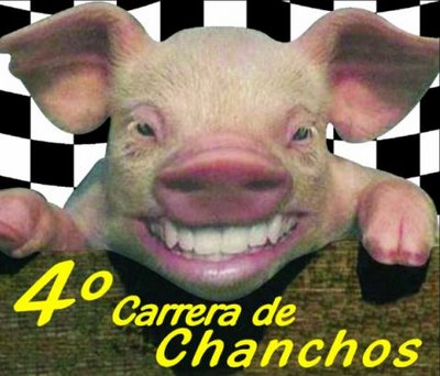 Entretenimiento local: ¡Carrera de cerdos! | El Sumario